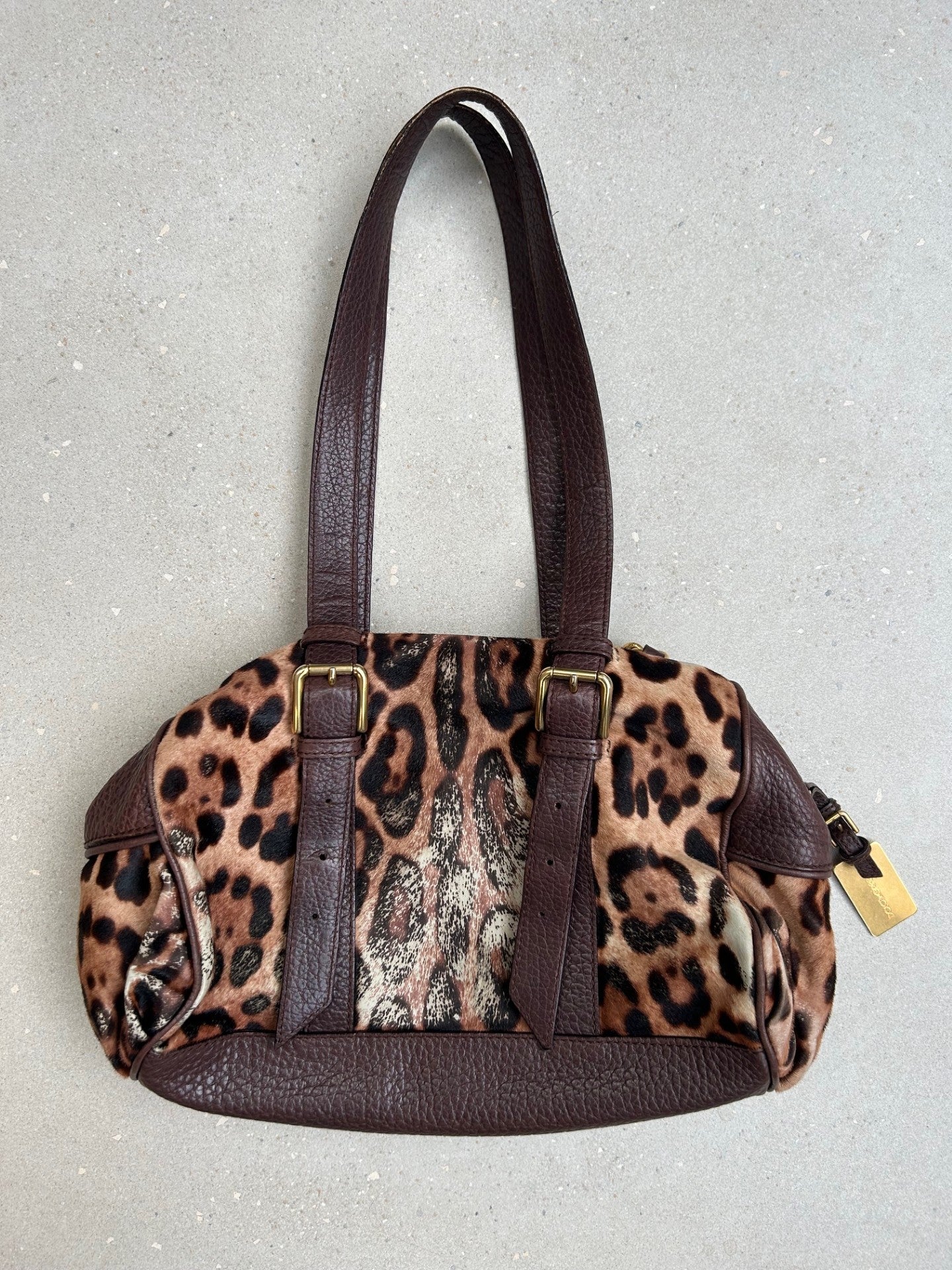 Dolce and Gabbana leopard print bag