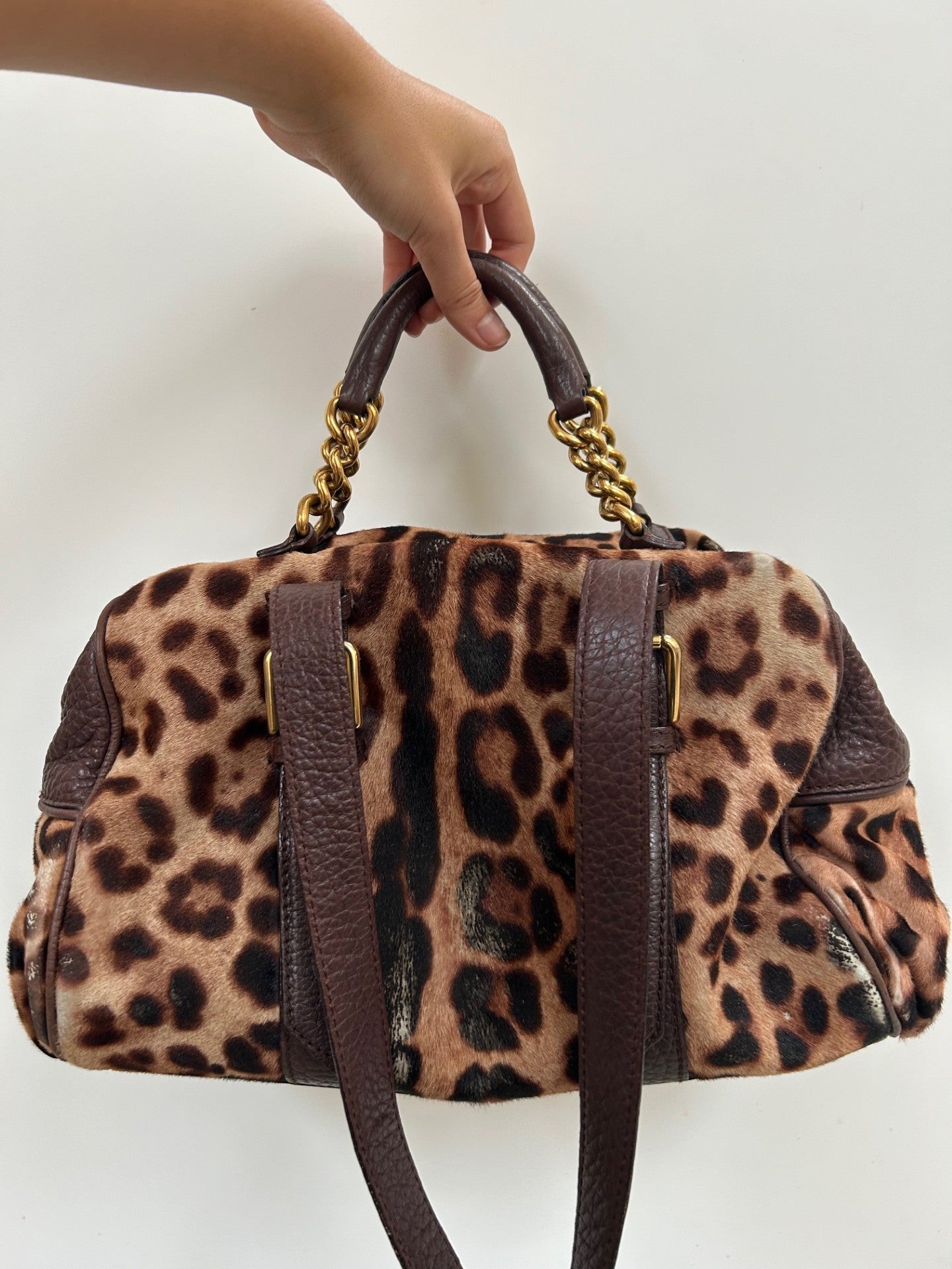 Dolce and Gabbana leopard print bag