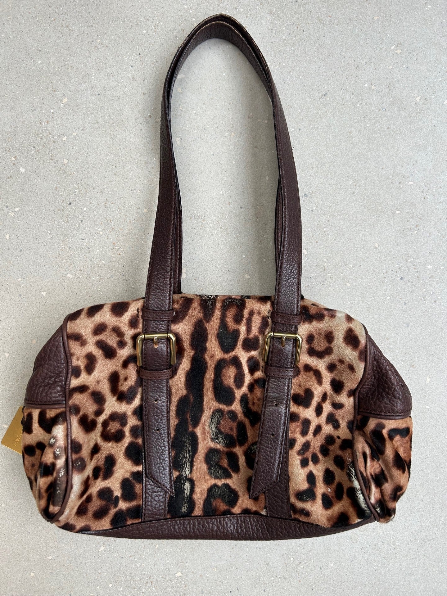 Dolce and Gabbana leopard print bag